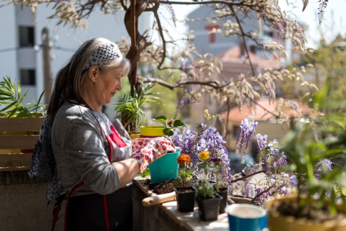 Чем можно украсить землю в цветочном горшке Чем можно украсить землю в цветочном горшке
